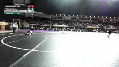 141 lbs Consi Of 8 #2 - Gordon Watson, Liberty vs Tristan Rios, Tarleton State