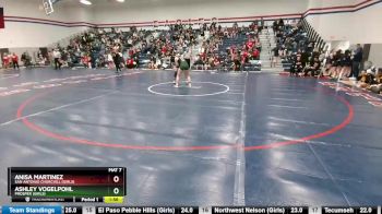 138 lbs Round 3 - Ashley Vogelpohl, Prosper (Girls) vs Anisa Martinez, San Antonio Churchill (Girls)
