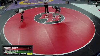 Semifinal - Precious DeCora, Winnebago Girls vs Morgan Hawkins, Ansley-Litchfield Girls