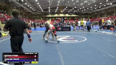 215 lbs Cons. Round 4 - Nathan Stiebs, WI vs Ezequiel Palos, OK