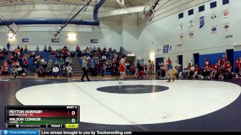 140 lbs Round 2 (4 Team) - Peyton Hornsby, New Palestine vs Wilson Connor, Carmel