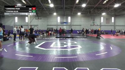 207 lbs Cons. Round 1 - Christina Page, Central Methodist University vs Cynthia Ellis, Iowa Central Community College