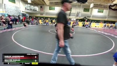 82 lbs Cons. Round 3 - Harlee Vandermars, Glasgow Wrestling Club vs Brayzee Rawles, Gordon/Rushville