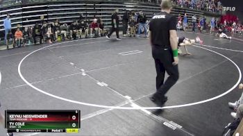 85 lbs Finals (8 Team) - Keynu Neiswender, Team Missouri vs Ty Cole, Utah