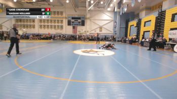 132 lbs Quarterfinal - Gabe Crenshaw, Smyrna H S vs Kaquan Holland, William Penn H.S.
