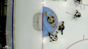 Adam Jiricek Makes A Goal Line Clearing Save To Keep It A 3-0 Bulldogs Lead