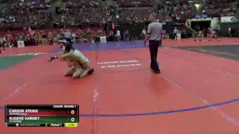 D1-144 lbs Champ. Round 1 - Eugene Harney, Sycamore vs Carson Atkins, Olmsted Falls