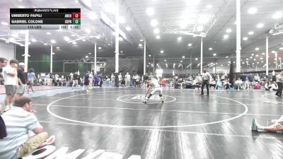 115 lbs Rr Rnd 2 - Umberto Papili, Anchor Down - HS vs Gabriel Colone, Central Dauphin