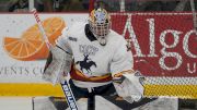 Barrie Colts Vs. Brantford Bulldogs Live Stream Free, OHL Series Game 7
