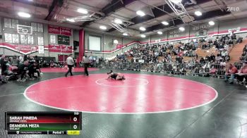 110 lbs Semifinal - Deandra Meza, Walnut vs Sarah Pineda, Orange Vista