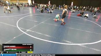 106 lbs Champ. Round 3 - Mason Haines, MI vs Garrett Beane, MO