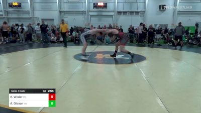 O-220 lbs Semifinal - Kael Wisler, MI vs Austin Gibson, WV