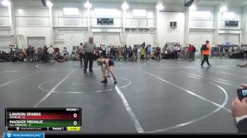 76 lbs Finals (2 Team) - Riley Pylypiak, Medina vs Andy Dorman, Rambler