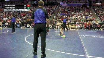 3A-138 lbs 1st Place Match - Cody Trevino, Bettendorf vs Nico DeSalvo, Southeast Polk