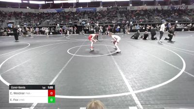 85 lbs Consolation - Carl Weidner, Purler Wrestling Academy vs Evan Fox, Lexington Youth Wrestling Club