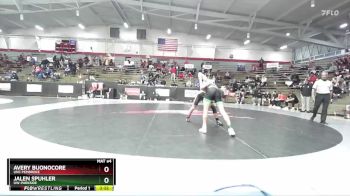 149 lbs Champ. Round 3 - Jalen Spuhler, UW-Parkside vs Avery Buonocore, UNC Pembroke