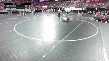 D2-132 lbs Champ. Round 1 - Brady Gesler, Chetek-Weyer./Prairie Farm vs Jasen Porras, Whitewater