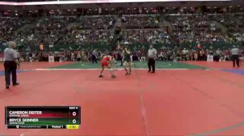 D2-126 lbs Semifinal - Bryce Skinner, Akron Svsm vs Cameron Deiter, Bowling Green