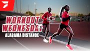 University of Alabama Distance Squad Runs INTENSE Threshold Session | Workout Wednesday