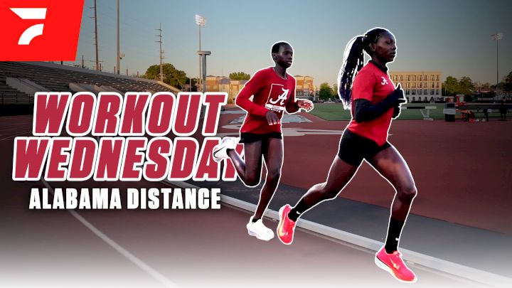 University of Alabama Distance Squad Runs INTENSE Threshold Session | Workout Wednesday