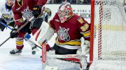 Hurricanes Recall Chicago Wolves Goalie Day Before Calder Cup Finals Start