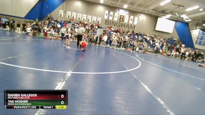 82 lbs Champ. Round 1 - Tad Mosher, Ridgeline Riverhawks vs Damien Gallegos, Roy Wrestling Club