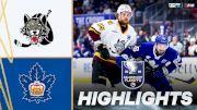Toronto Marlies Win Calder Cup In Five Over Chicago Wolves