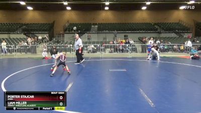 49 lbs Quarterfinal - Liam Miller, Sebolt Wrestling Academy vs Porter Stajcar, Iowa