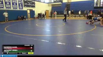 141 lbs 1st Place Match - Anthony Urrea, Dubuque vs Kameron Hanel, Augustana (IL)