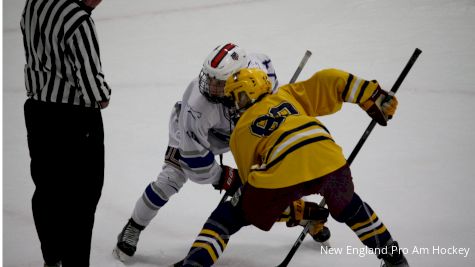 Mini Chowder Cup 2026: Schedule, What You Need To Know