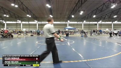 117 lbs Cons. Round 1 - Kylen Neibaur, Bonneville Idaho Wrestling Clu vs Peter Nelson, St. Maries Wrestling Club