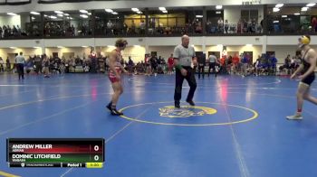 149 lbs Quarterfinal - Dominic Litchfield, Wabash vs Andrew Miller, Adrian