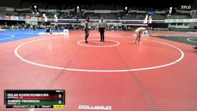 144 lbs Semis & Wb (16 Team) - Nolan Schmeckenbecher, Whitehall vs Gabrien Megginson, Heritage