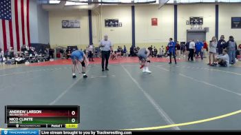 141 lbs Champ. Round 2 - Andrew Larson, Rochester-CTC vs Nico Clinite, Harper CC