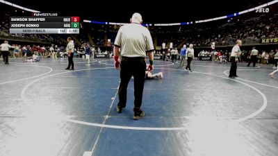 145 lbs Semifinal - Dawson Shaffer, Rockwood vs Joseph Bonko, Nehsaminy