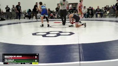 95 lbs Round 2 (6 Team) - Tim Rallo, Missouri Gold vs Brayden De Jesus, Triumph
