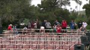 Men's 110m Hurdles