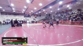 130 lbs Champ. Round 2 - AbbyQuinn Skelding, Westview vs Sabrina Felix, Downey