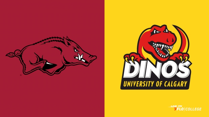 Arkansas vs Calgary.png
