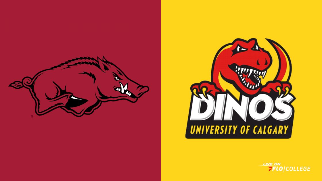 Replay: Arkansas Basketball vs Calgary (Canada)