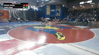 285 lbs Champ. Round 1 - James James, Salem vs Michael Mauro, John Jay Sr -East Fishkill HS