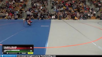 45 lbs Quarterfinal - Caleb D. Miller, Immortal Athletics WC vs Lincoln Anderson, DGF