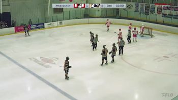 Replay: Home - 2024 Boston Terriers vs New Hampshire | Sep 19 @ 11 AM