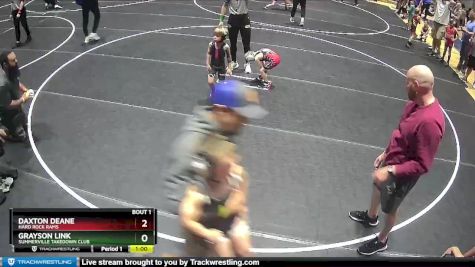 44 lbs Champ. Round 1 - Daxton Deane, Hard Rock Rams vs Grayson Link, Summerville Takedown Club