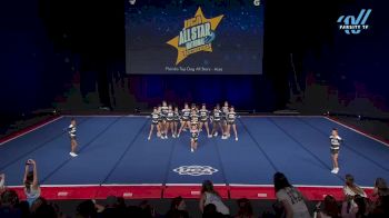 Florida Top Dog All Stars - Aces [2025 L2 Youth - Small Day 1] 2025 UCA & UDA All Star National Championship