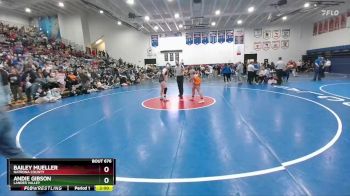 145 lbs 1st Place Match - Bailey Mueller, Natrona County vs Andie Gibson, Lander Valley