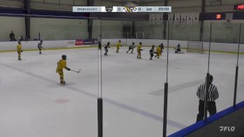 Replay: Home - 2024 Hamilton U12 vs Whitby U12 AAA | Nov 28 @ 1 PM