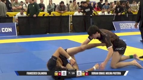 Dorian Ismael Molina Pastora vs Francesco Calandra 2025 World IBJJF Jiu-Jitsu No-Gi Championship