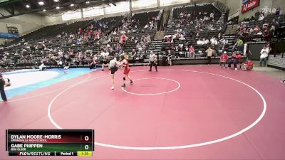 141 lbs Champ. Round 3 - Dylan Moore-Morris, Springville High School vs Gabe Phippen, Box Elder