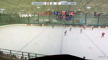 Replay: Home - 2025 CBHA Rangers U13 vs NWCAA Bronks U13 | Feb 2 @ 5 PM